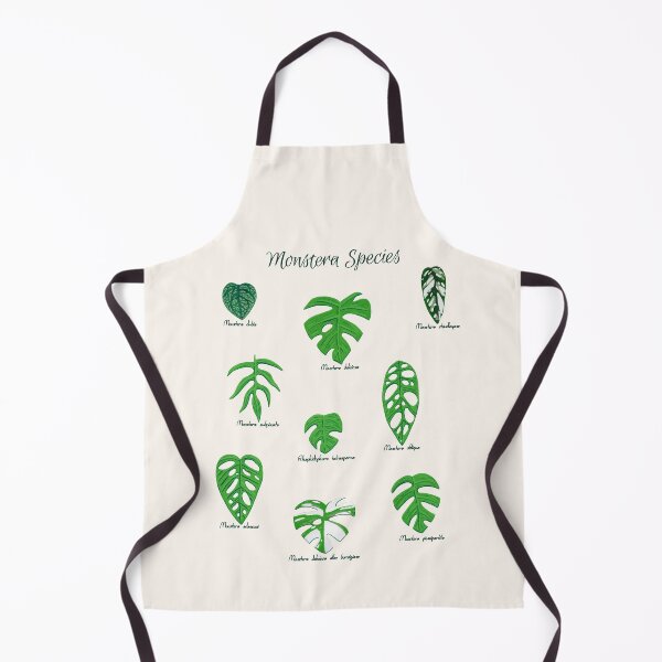 Item preview, Monstera Species with Labels designed and sold by paintedpansy.