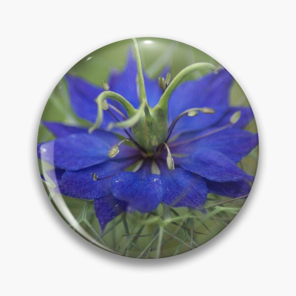 Item preview, Nigella damascena designed and sold by dianara-lunae.