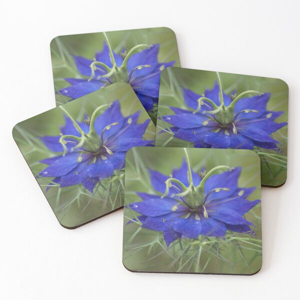 Item preview, Nigella damascena designed and sold by dianara-lunae.