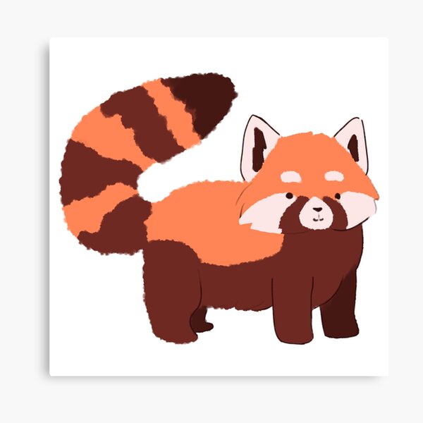 Red Panda Canvas Prints For Sale Redbubble