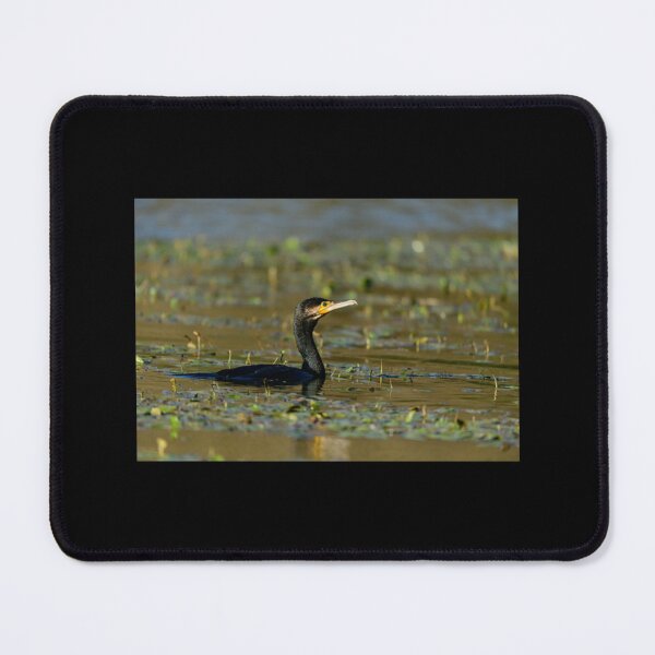 Aperçu de l'œuvre Cormoran nageant sur le Lago Di Alviano Ombrie Italie T-shirt premium créée et vendue par rosebell76.
