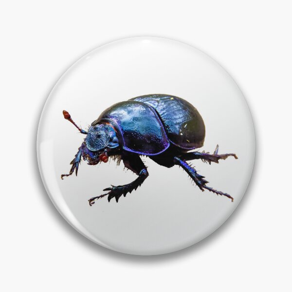 Item preview, Forest dung beetle Dor Beetle with blue-purple shimmering shell and antennae designed and sold by sopfanna.