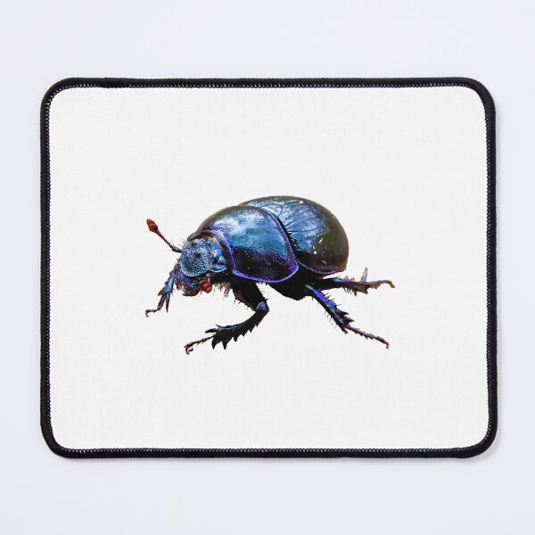 Item preview, Forest dung beetle Dor Beetle with blue-purple shimmering shell and antennae designed and sold by sopfanna.