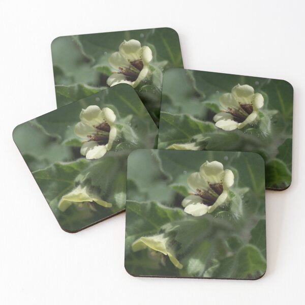 Item preview, Henbane flower designed and sold by dianara-lunae.