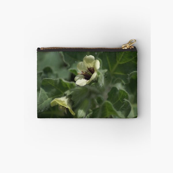 Item preview, Henbane flower designed and sold by dianara-lunae.