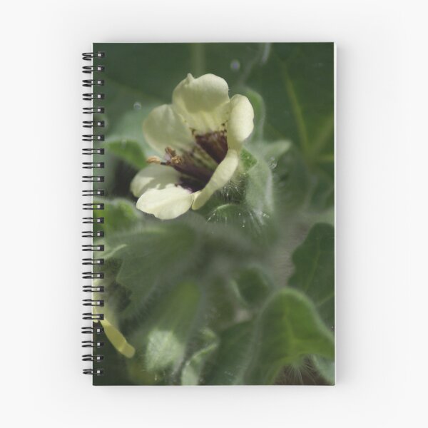 Item preview, Henbane flower designed and sold by dianara-lunae.