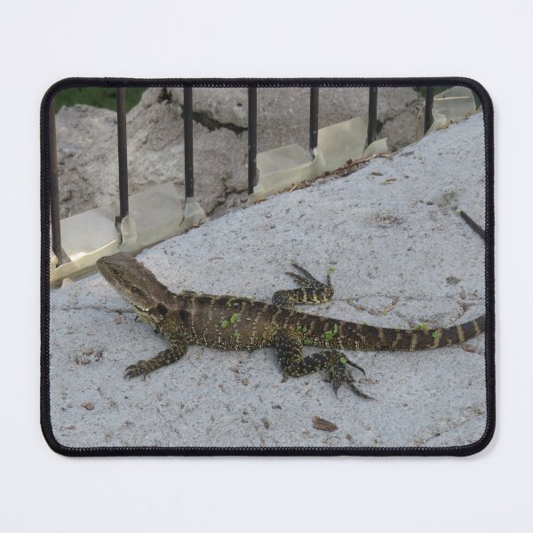 Item preview, Eastern water dragon resting designed and sold by greentiger1.
