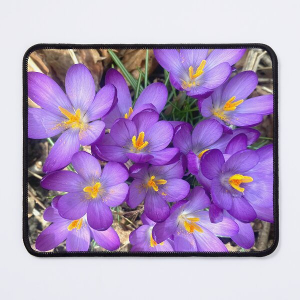Item preview, CROCUS designed and sold by Maureen Zaharie.