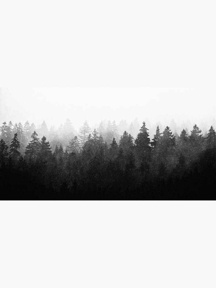 A Wilderness Somewhere by tekay