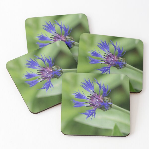 Item preview, Cornflower designed and sold by dianara-lunae.