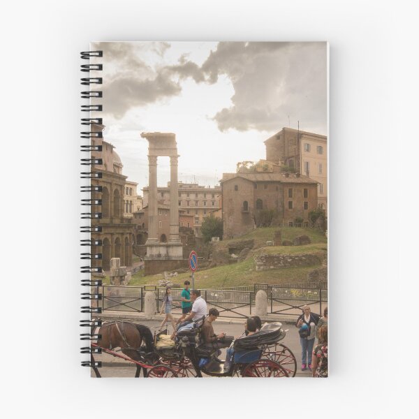 Item preview, Colosseum & Forum designed and sold by ianmark.