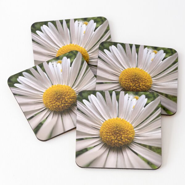 Item preview, Daisy Flower Macro Photography designed and sold by FilipeFerreira.