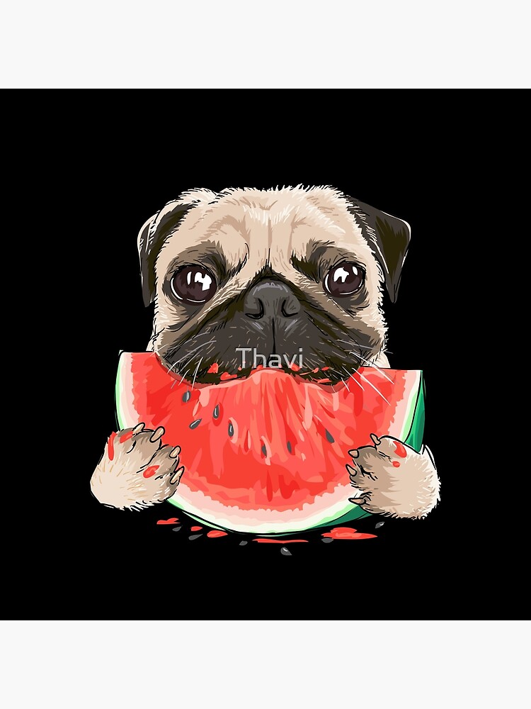 Cute Pug Dog In A Melon Hat T-shirt