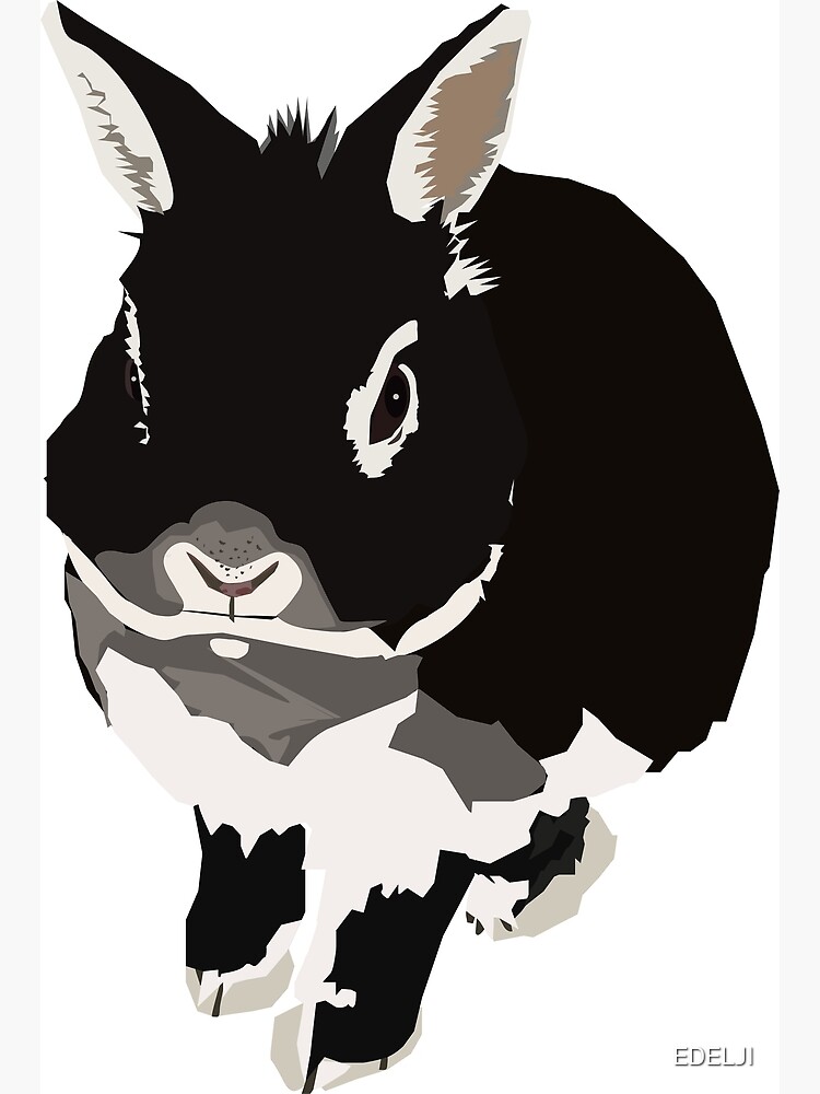 DWARF BUNNY " Poster for Sale by EDELJI Redbubble