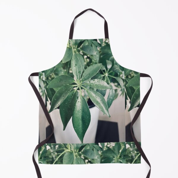 Item preview, planta de paraguas designed and sold by PurpleClouds26.
