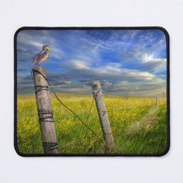 Item preview, Singing Meadowlark on Fence Post by the Badlands designed and sold by Randall Nyhof.