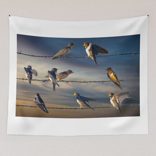 Item preview, Barn Swallows perched on Barbed Wire designed and sold by Randall Nyhof.