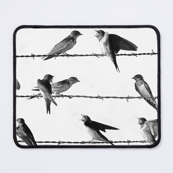 Item preview, Barn Swallows on Barbed Wire Black and White designed and sold by Randall Nyhof.