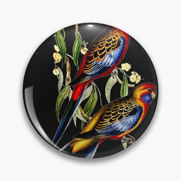 Item preview, PLATYCERCUS ADELAIDAE designed and sold by Infopreneur1231.