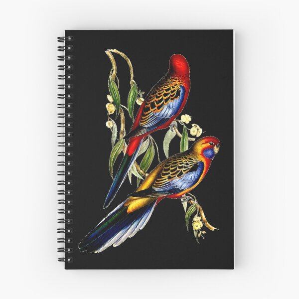 Item preview, PLATYCERCUS ADELAIDAE designed and sold by Infopreneur1231.