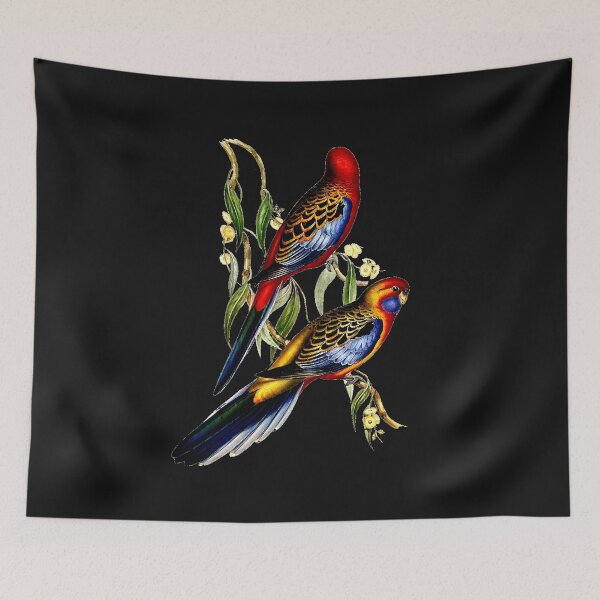 Item preview, PLATYCERCUS ADELAIDAE designed and sold by Infopreneur1231.