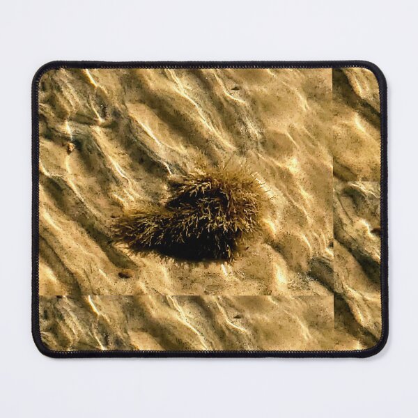 Item preview, Just under the water designed and sold by C Schabowski.