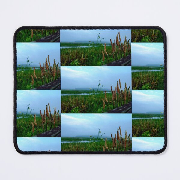 Item preview, bombay wetlands designed and sold by C Schabowski.
