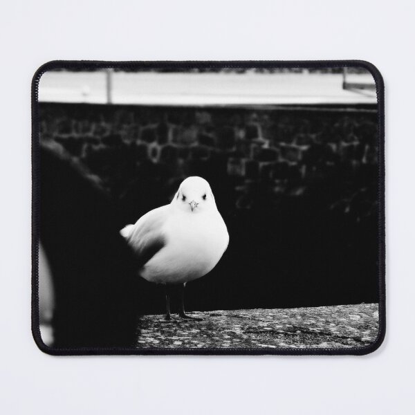 Item preview, You want my photo ?!... designed and sold by ART22.