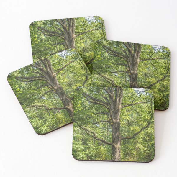 Item preview, Grandfather Of The Forest: Color designed and sold by Susan  Nixon.