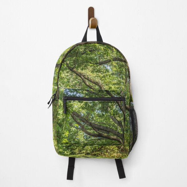 Item preview, Grandfather Of The Forest: Color designed and sold by Susan Nixon.