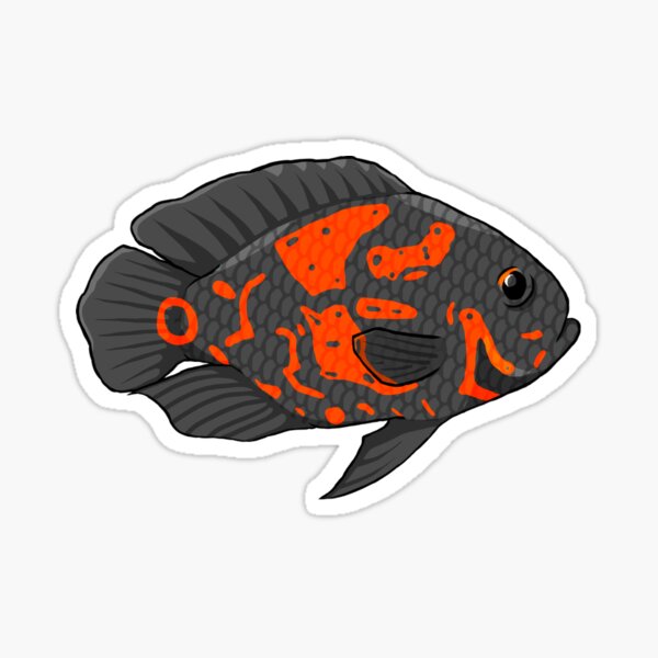 Oscar Fish Cichlids Freshwater Vinyl Waterproof Sticker / Decal 