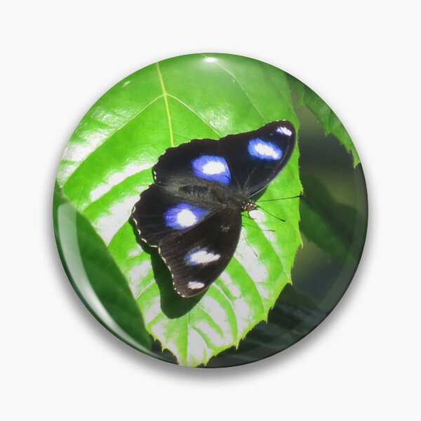 Item preview, Common eggfly butterfly designed and sold by greentiger1.