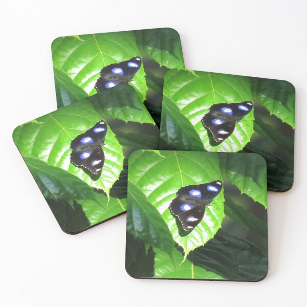 Item preview, Common eggfly butterfly designed and sold by greentiger1.