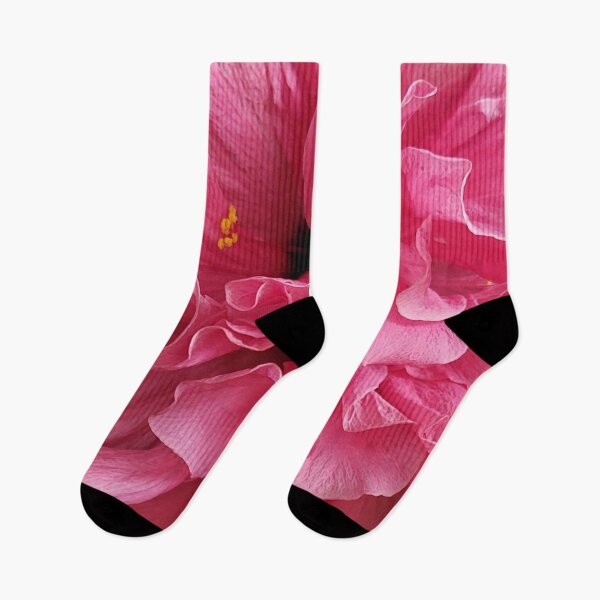 Item preview, Kaloko-Honokohau National Park, Hawaii, Flower intimates, Close Up Pink Cayenne designed and sold by Karo Art.