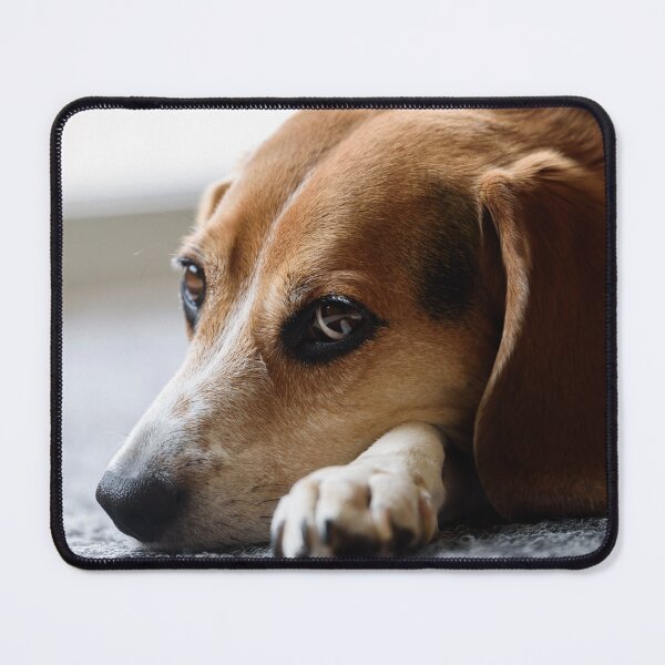 Item preview, Dog Pose.. designed and sold by Momo-Stores.