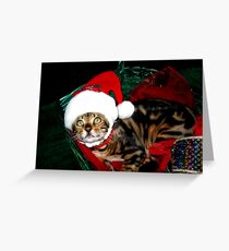 Zen's Christmas Picture Greeting Card