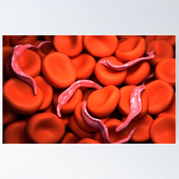 Item preview, Conceptual image of Trypanosoma. designed and sold by StocktrekImages.