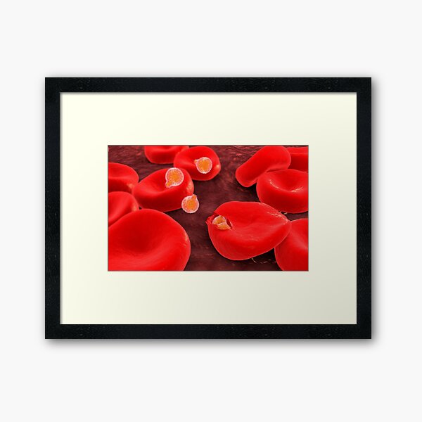 Conceptual image of plasmodium. Framed Art Print