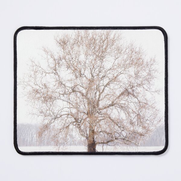Item preview, Hint of Fall designed and sold by Walsh Arts.