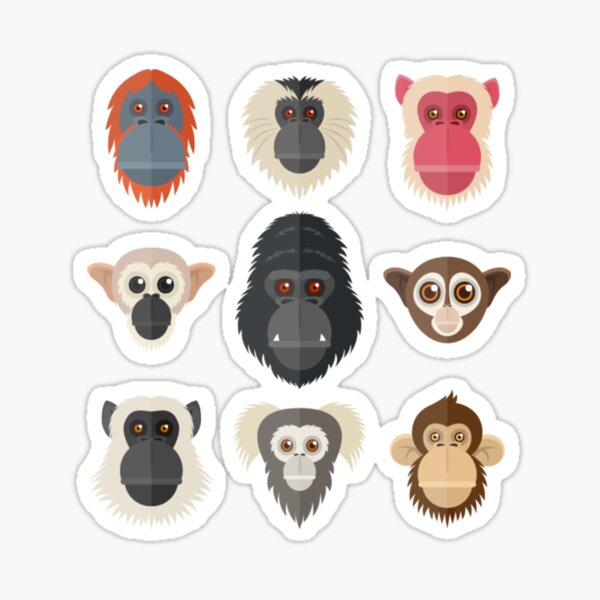 Vista previa del artículo con la obra «Mono Chimpancé Gorila Mono araña Mono ardilla», diseñado y vendido por CharlesHarden43.
