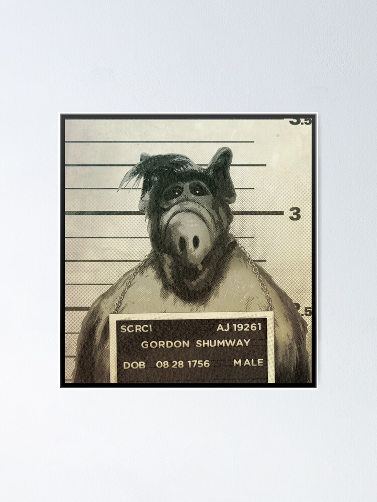 Vintage Alf mask : r/Alf