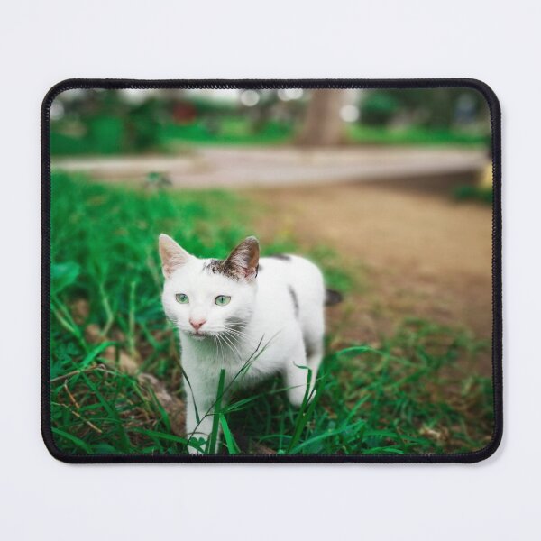 Item preview, Cute and sneaky white cat designed and sold by anisbbmbrush.