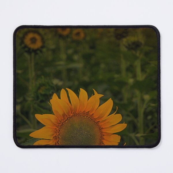 Item preview, _DSC2181 Not On Talking Terms designed and sold by Sunil Kapadia.