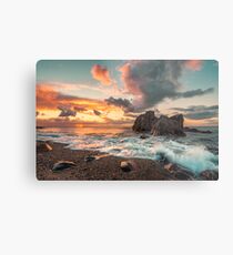 Golden hour Metal Print