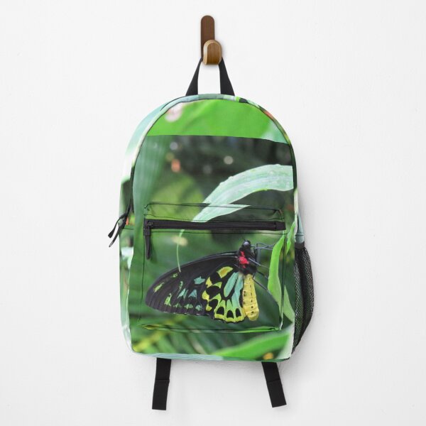 Item preview, Cairns birdwing butterfly designed and sold by greentiger1.