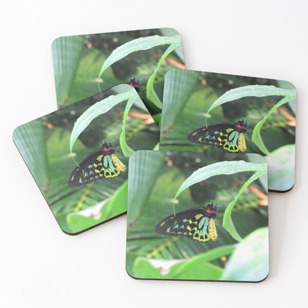 Item preview, Cairns birdwing butterfly designed and sold by greentiger1.
