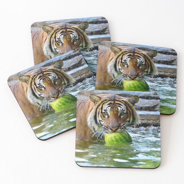 Item preview, Strength of the Tiger designed and sold by richardbryce.