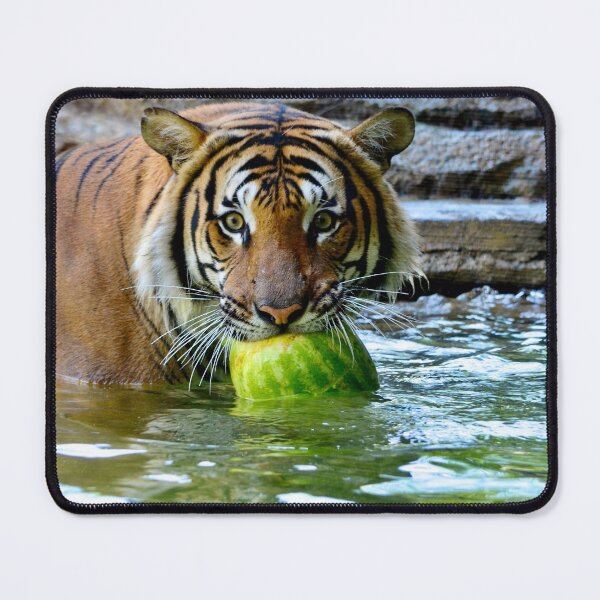 Item preview, Strength of the Tiger designed and sold by richardbryce.