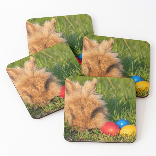 Item preview, Brown dwarf rabbit and three easter eggs in the meadow designed and sold by Stefan Rotter.
