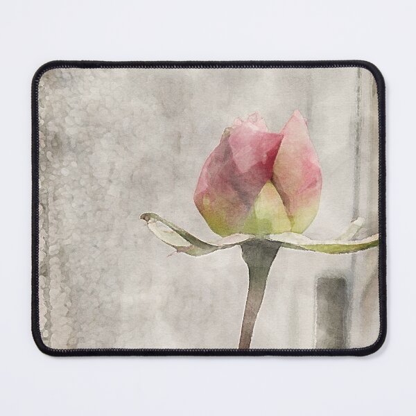 Item preview, Faded Rose Watercolour designed and sold by ShailleMaille.